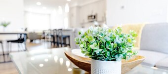 Paisley. Sleeps 6. Dog Friendly. A/C