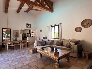 TV, fireplace, table tennis