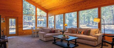 Smart TV, fireplace, books, stereo