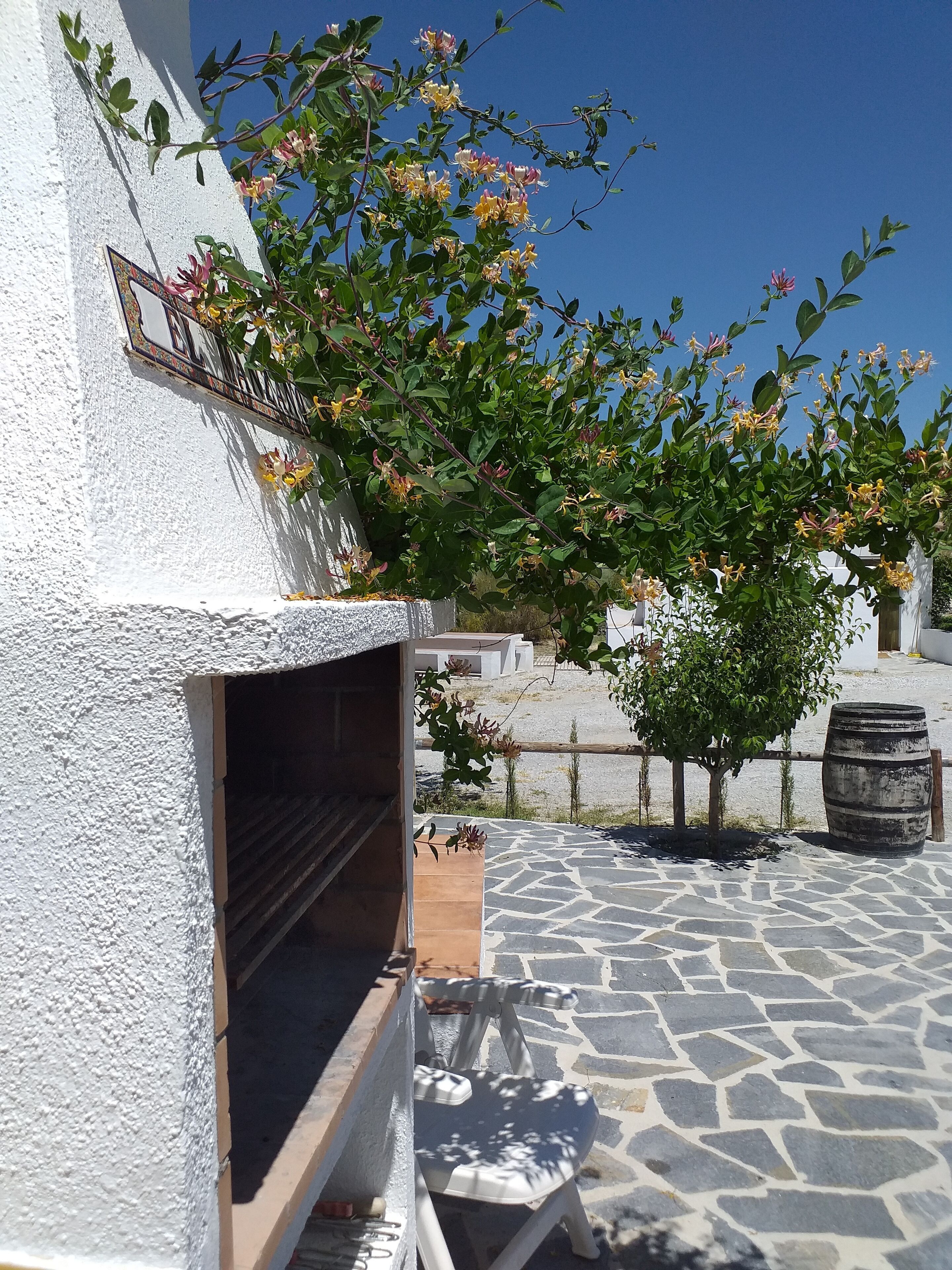 Un patio de piedra con una parrilla, un árbol pequeño y un barril.