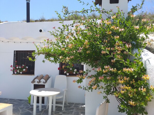 A white building with a stone floor, a white table and chair, and a flowering plant in front. - Cuevas Andalucia (Baza)