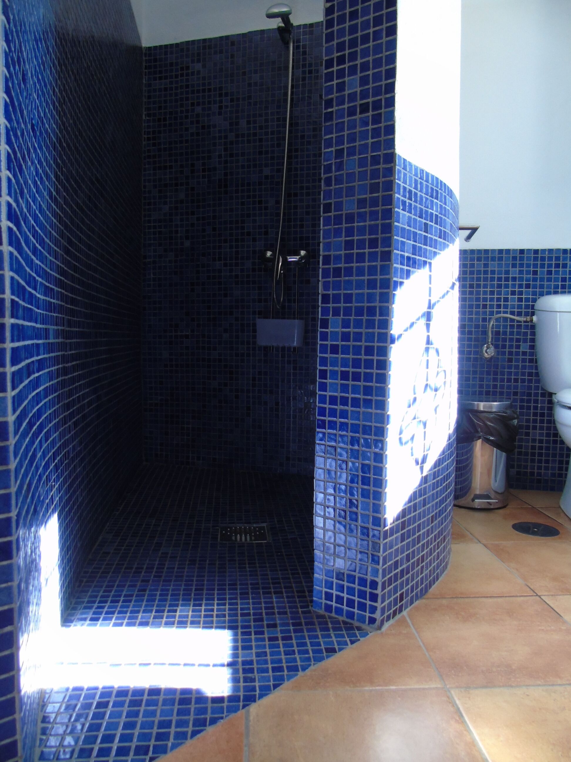 Een badkamer met blauw betegelde wanden en vloer, een douche en een toilet.