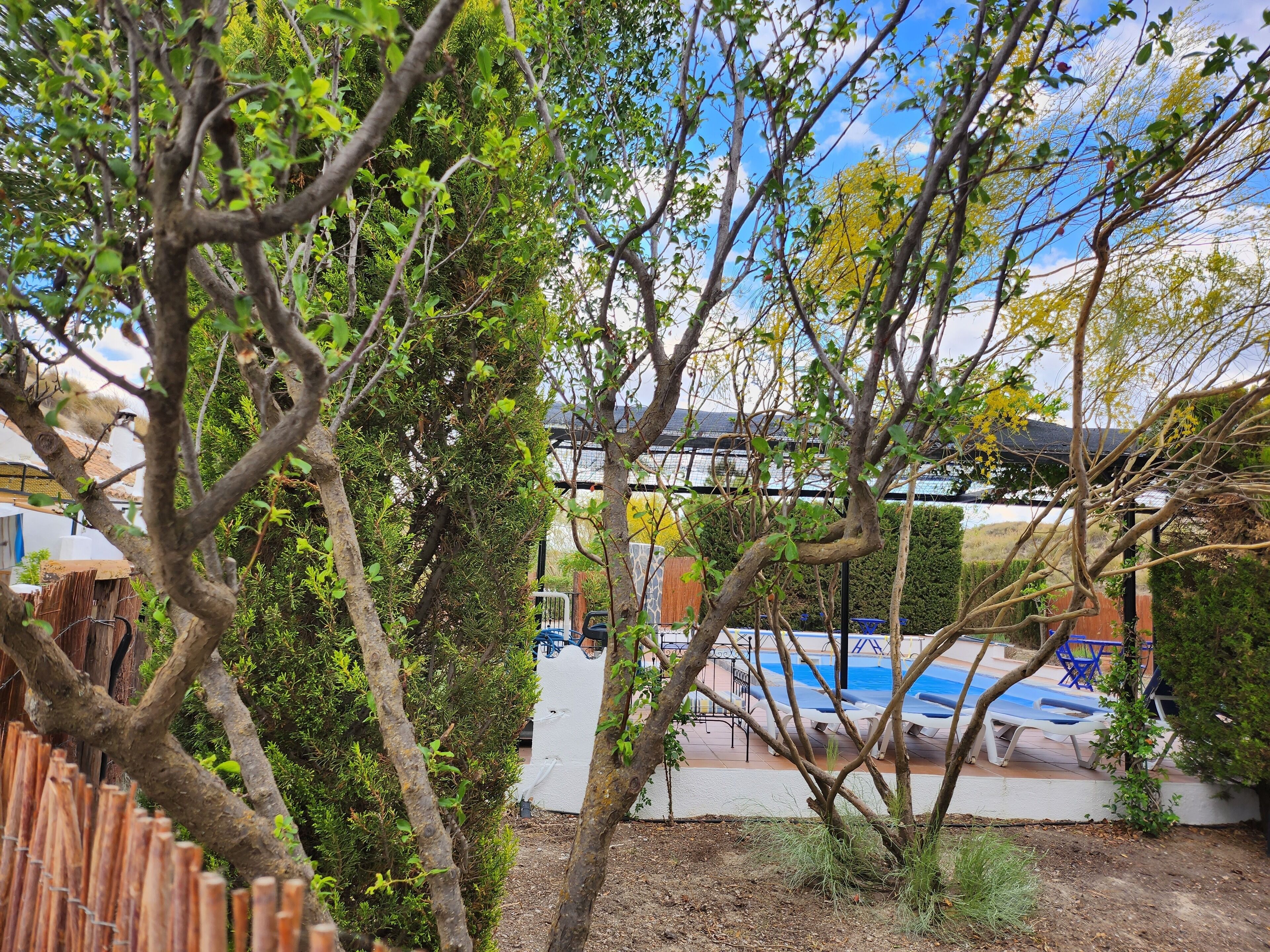 A pool area with lounge chairs, surrounded by trees and a wooden fence.
