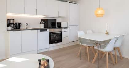Newly Renovated 1-bed Apartment in Aalborg