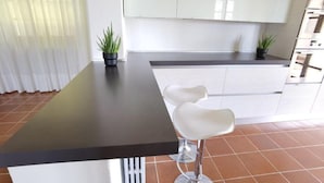 A modern kitchen with a dark countertop, white cabinets, and two potted plants. - Villa Schaake Lago Maggiore 100m vom Strand (Gonte)