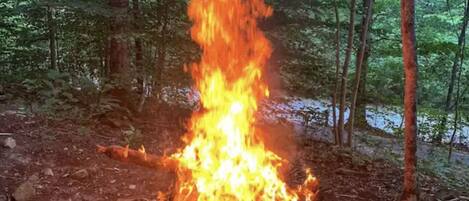 A campfire in a forest with trees around.