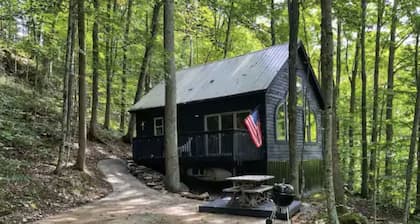Tanzanite-- The "GEM" with a Hot Tub & WiFi!!