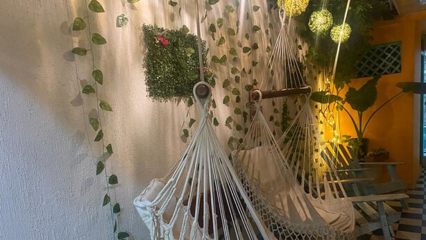 A room with macramé hanging chairs, a checkered floor, and a wall decorated with greenery and small plants.
