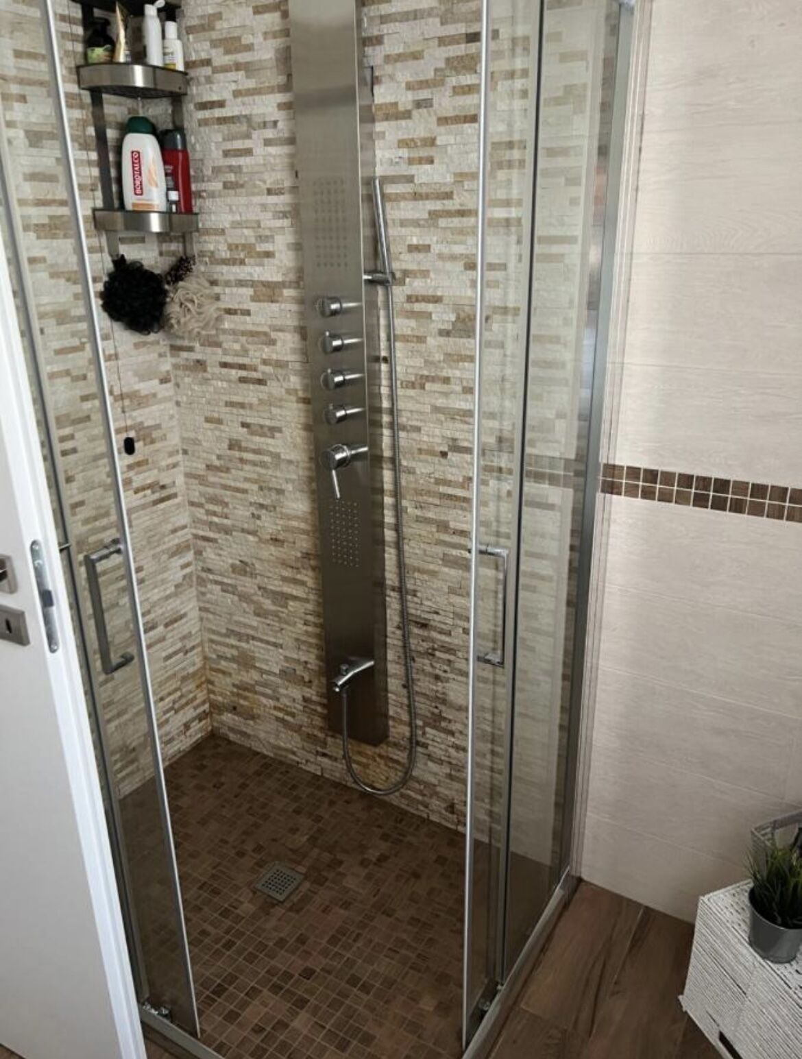 A glass-enclosed shower with a tiled wall, a shelf with toiletries, and a potted plant on a side table.