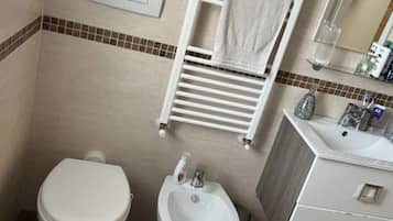 Shower, rainfall showerhead, hair dryer, bidet