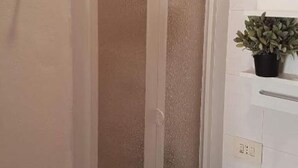 Une salle de bain avec une porte de douche en verre dépoli, un lavabo blanc et une plante en pot posée sur le comptoir.