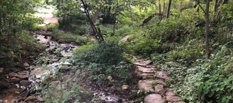 Off Grid Tiny House Glamping On 22 Acres!