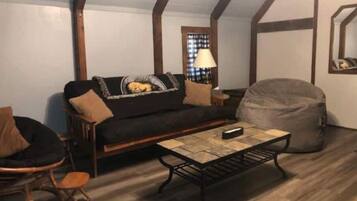 Smart TV, fireplace, DVD player, books