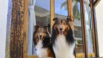 Comfort House | Living area