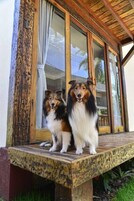 舒适独立别墅 | 起居区