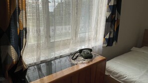 A room with a bed, a wooden nightstand, a telephone, and a window with sheer curtains.
