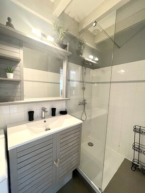 Shower, hair dryer