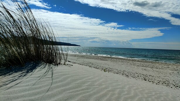 Une plage de sable avec des vagues.