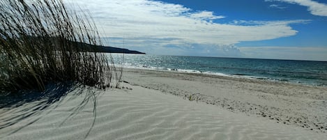 Appartement, 2 chambres, balcon | Plage