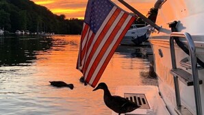 Un barco amarrado en un puerto deportivo con una bandera estadounidense, patos en la cubierta y un atardecer de fondo.