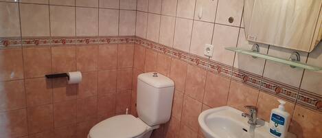 A bathroom with a toilet, sink, and a mirror above the sink.