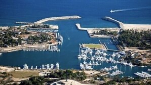 An aerial view of a marina with multiple docks and boats, surrounded by greenery and a sandy beach. - Las Mananitas-Awesome Luxury Beachside Condo in Cabo! (San José del Cabo)