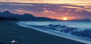 Beach - Las Mananitas-Awesome Luxury Beachside Condo in Cabo! (San José del Cabo)