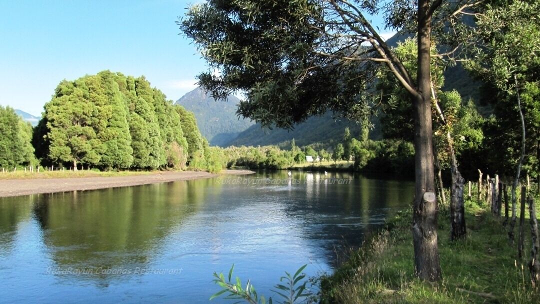 Un río con un área boscosa y montañas al fondo.