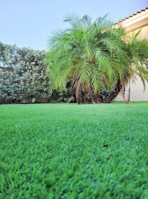 المنطقة المحيطة بالمنشأة