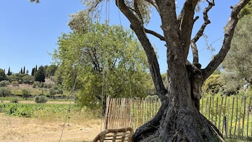 Jardín