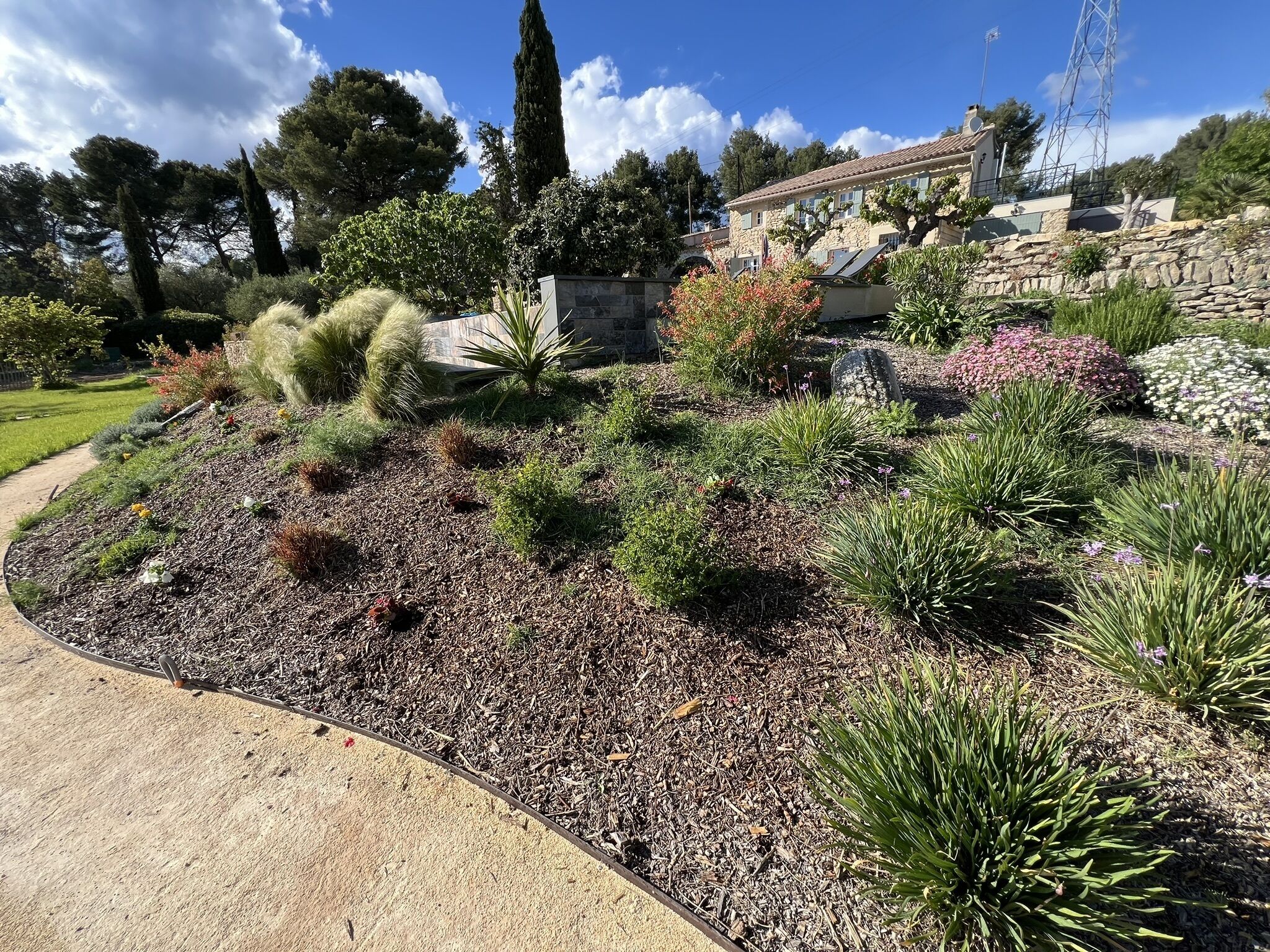Un jardin aménagé avec une grande variété de plantes et un mur en pierre.