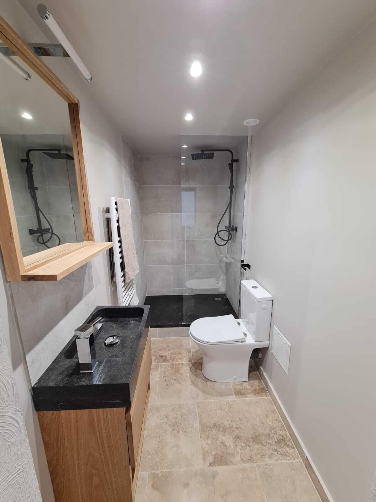 A modern bathroom with a shower, toilet, and sink.