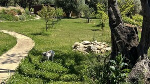 A garden with a winding path, a large tree, and a dog. - Le Mas Golie (Le Castellet)