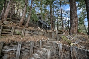 المنطقة المحيطة بالمنشأة