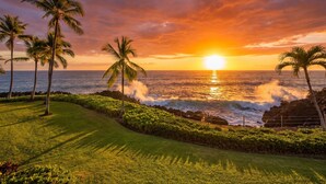 A sunset over the ocean with palm trees and a grassy area.