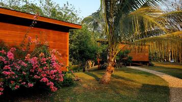A wooden building with a garden, including pink flowers and a palm tree.