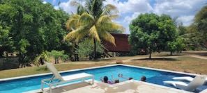 A swimming pool with lounge chairs, surrounded by lush greenery and palm trees.