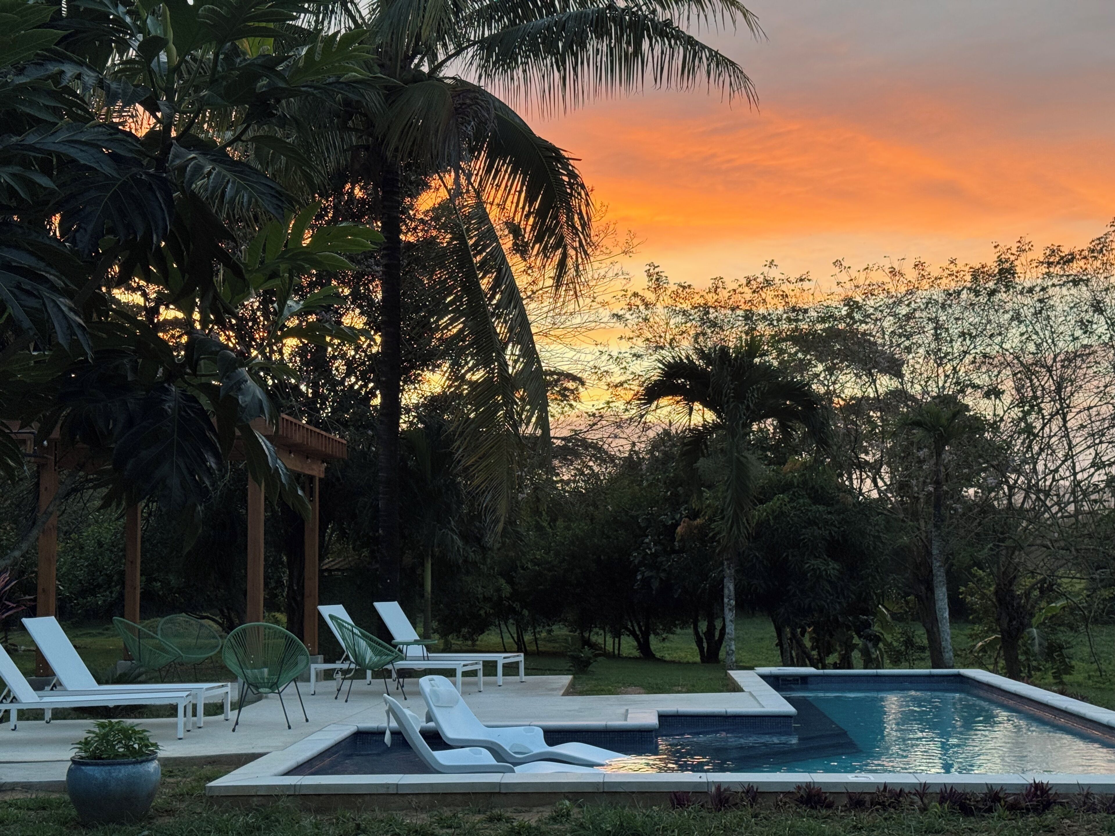 A swimming pool with lounge chairs and a wooden pergola, surrounded by lush greenery and palm trees.