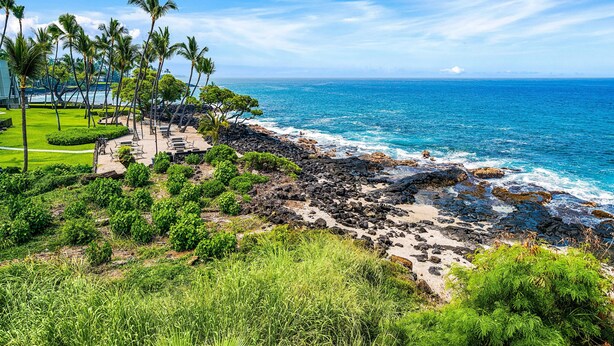 A coastal resort with a rocky shoreline, palm trees, and a clear view of the ocean.