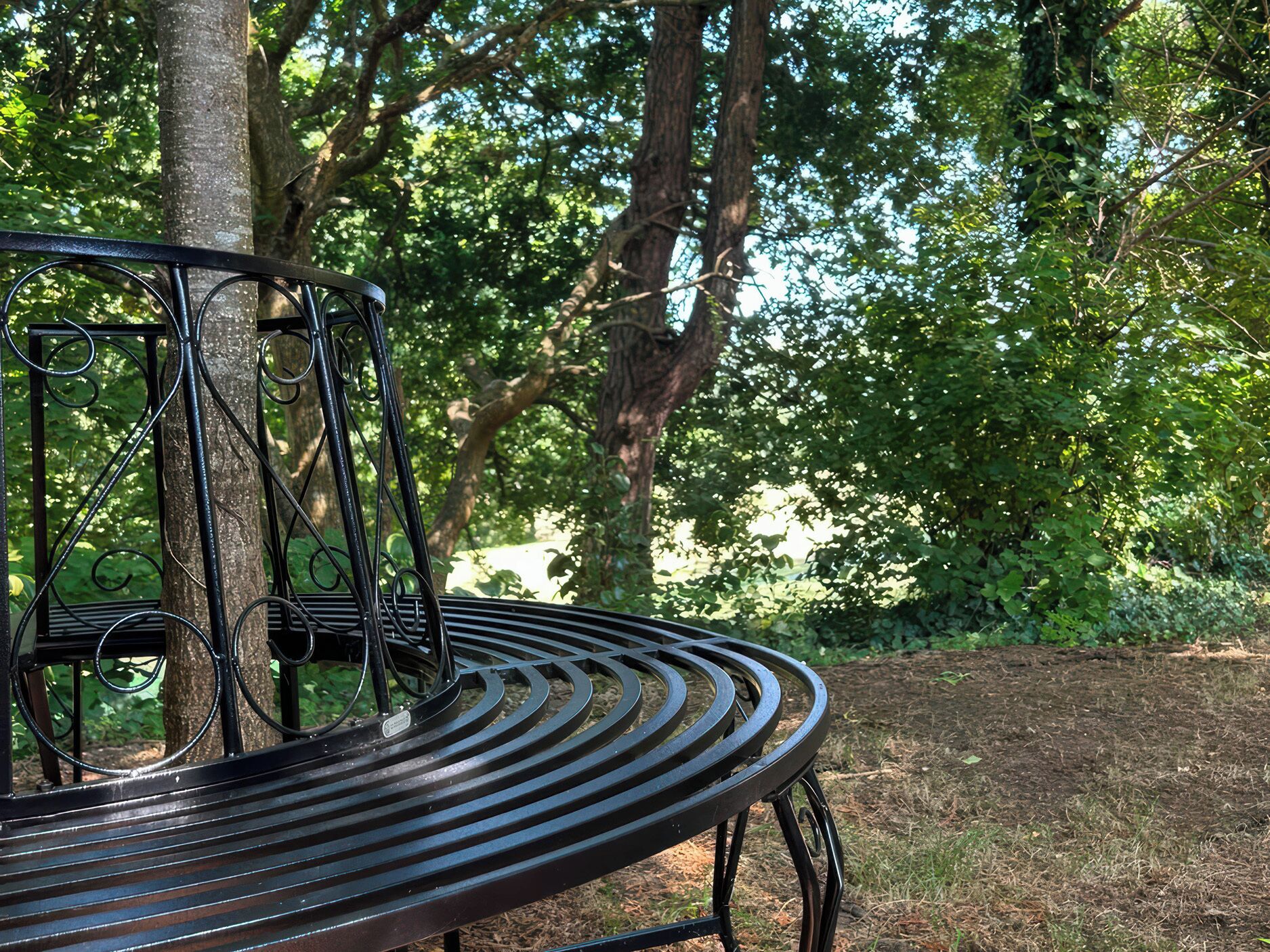 A metal bench with a curved backrest and a metal frame, situated in a park with trees and grass.