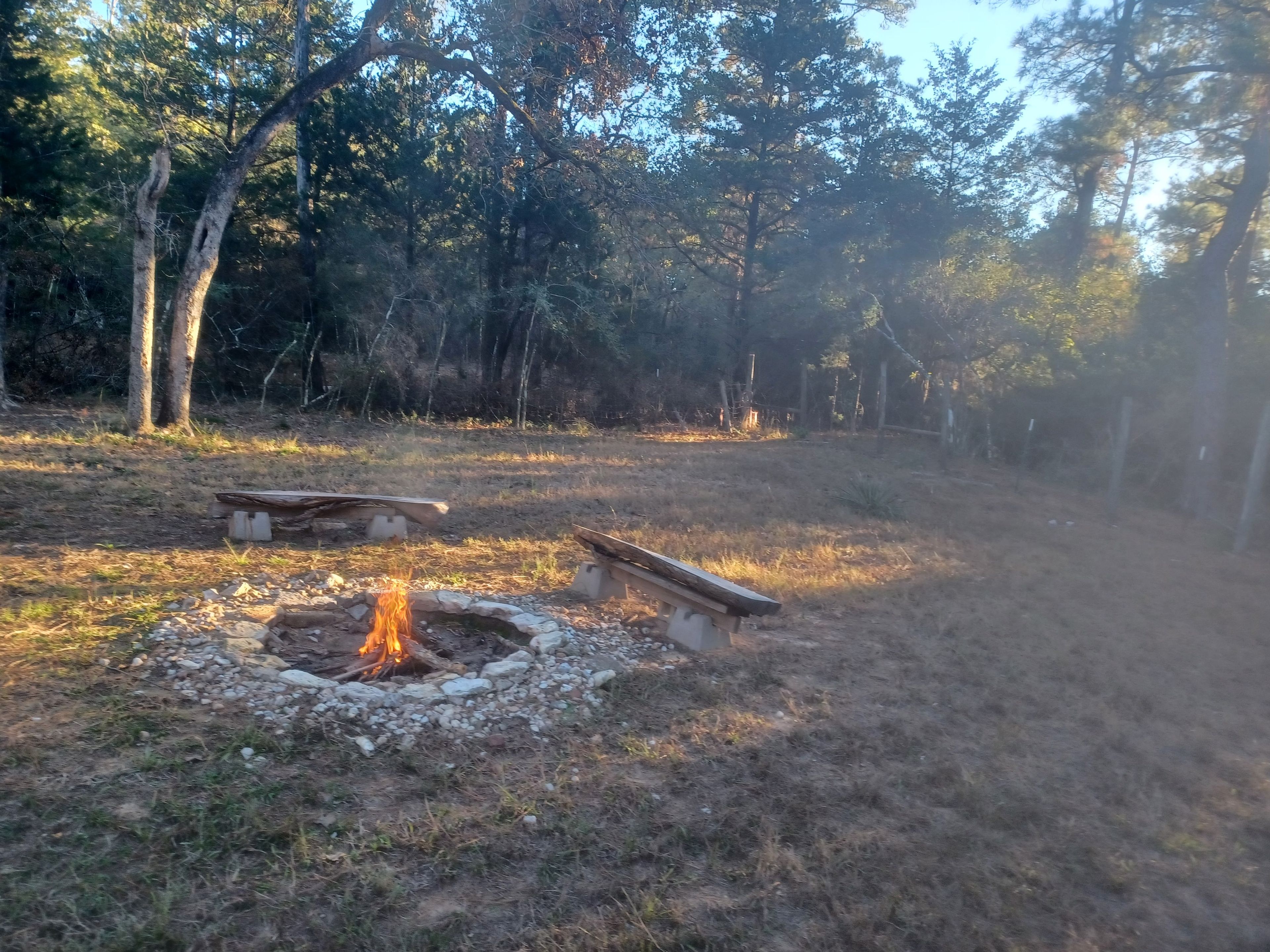 Un foyer entouré d’un cercle de pierres, avec des bancs et une forêt en arrière-plan.