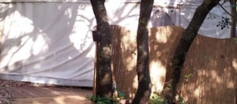 Yurt Located in a Little oak Grove