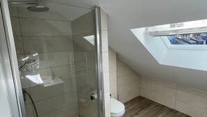 A modern bathroom with a glass-enclosed shower, a skylight, and a toilet.
