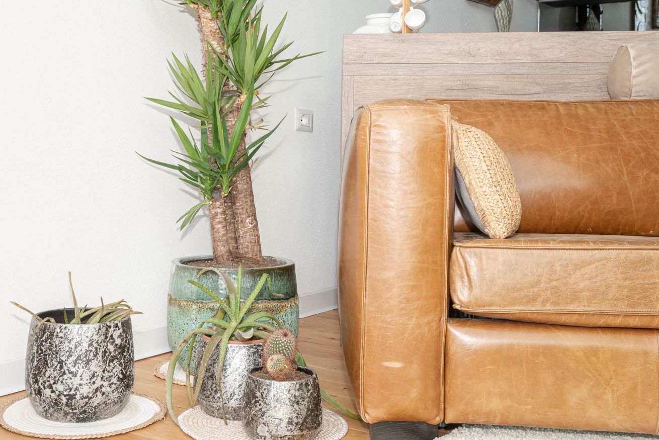 Een woonkamer met een bruine leren bank, een kleine potplant en een decoratieve vaas.