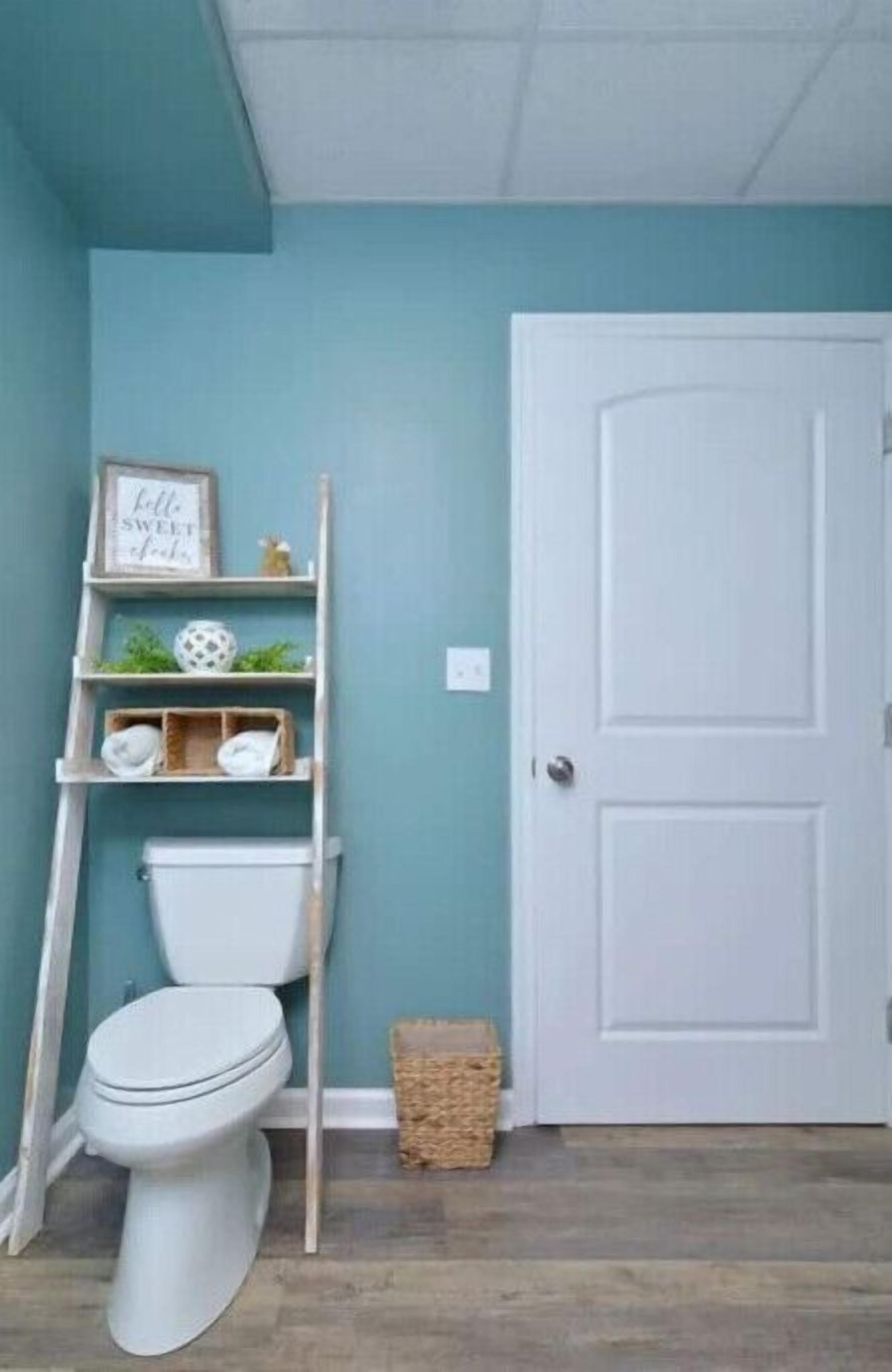 A bathroom with a toilet, a shelf with toiletries, and a white door.