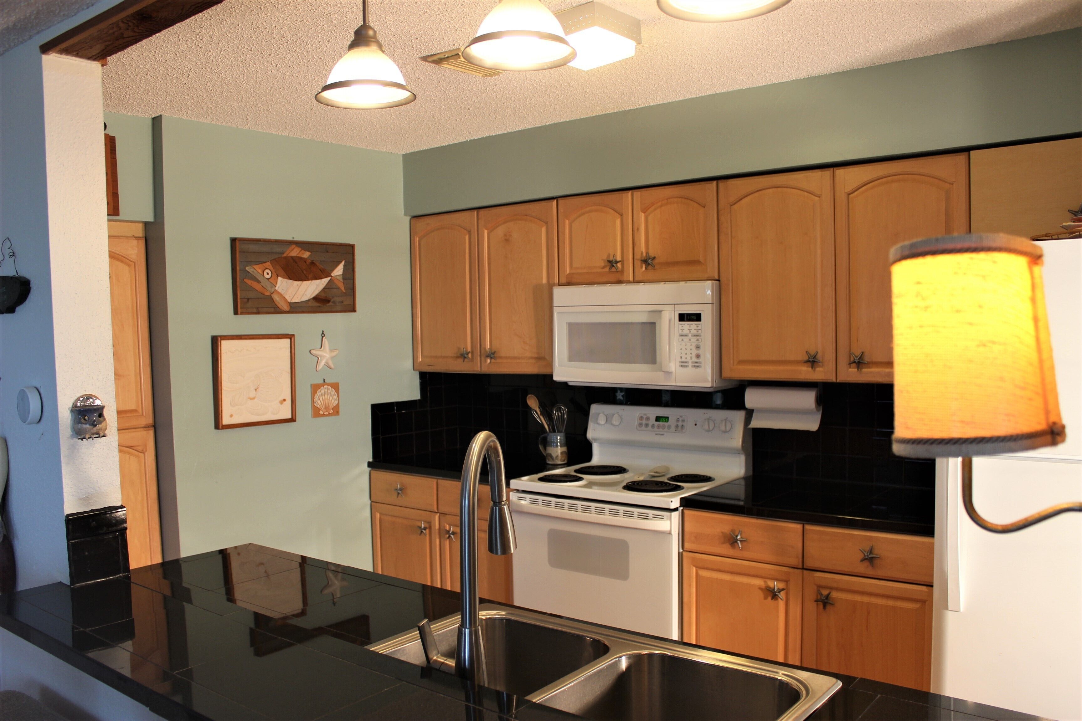 BEACH FRONT Condo with pool access - Matagorda Dunes #42