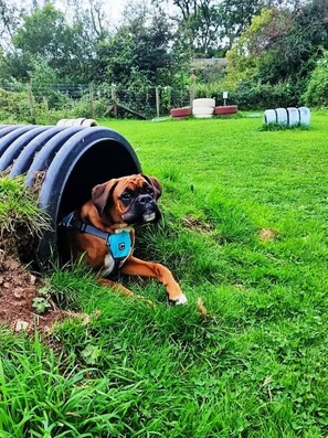 Property grounds - Cosy Apartment With Countryside Views (NARBERTH)