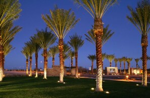 A row of palm trees with lights along a pathway at dusk.