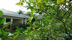 Une maison dotée d’un porche abrité, entourée d’une végétation luxuriante et de plantes en fleurs.