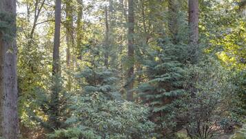 Apartment, 2 Bedrooms, Balcony | Property grounds